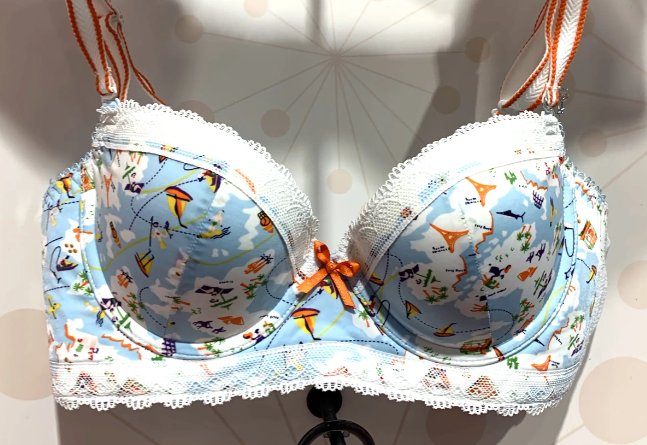 世界十大顶级内衣品牌