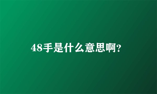 48手是什么意思啊？