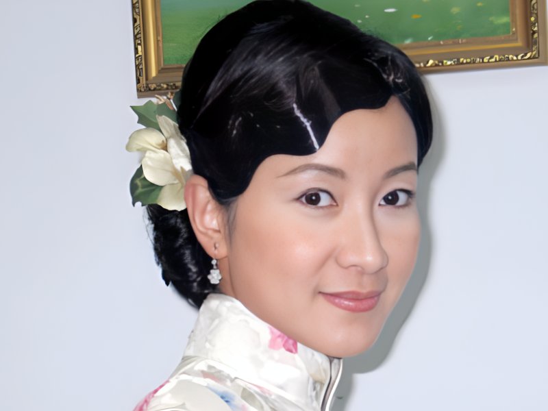 王美雪演过的电视剧