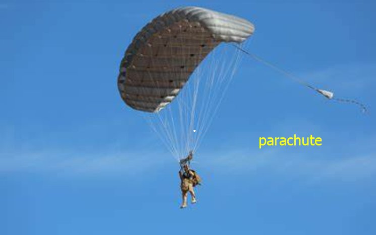 para的意思有哪些？