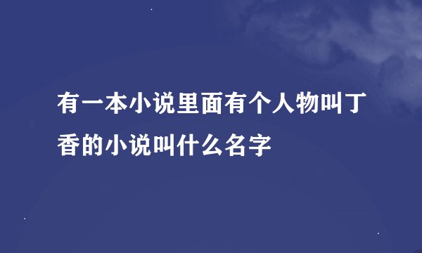 有一本小说里面有个人物叫丁香的小说叫什么名字