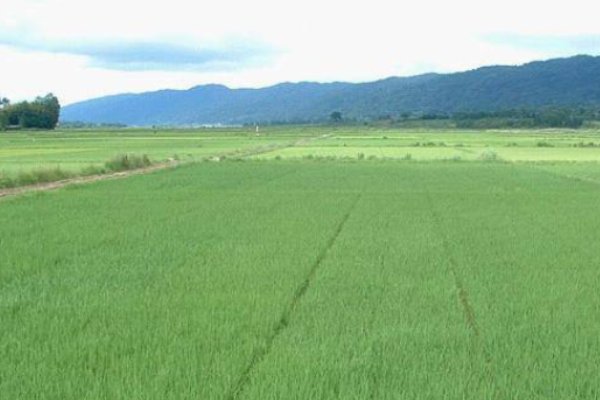 2亩地多大面积？