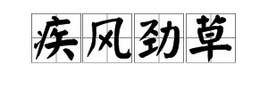 “疾风劲草”打一动物？