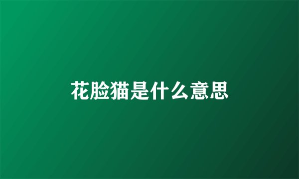 花脸猫是什么意思