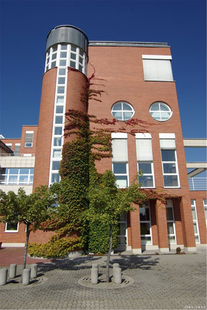 在学校里，你做过的最疯狂的事情是什么？