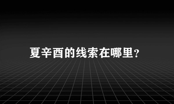 夏辛酉的线索在哪里？