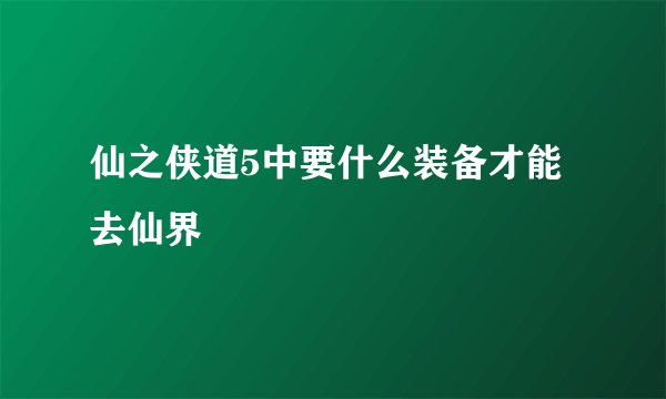 仙之侠道5中要什么装备才能去仙界