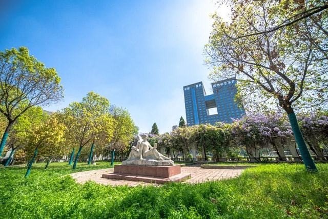 徐州师范大学2023年高考录取分