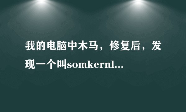 我的电脑中木马，修复后，发现一个叫somkernl.dll不见了，应该怎么修复，或者重新把这个程序安装呢！！！
