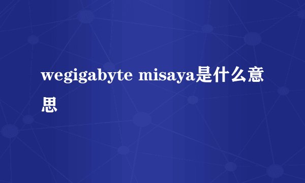 wegigabyte misaya是什么意思