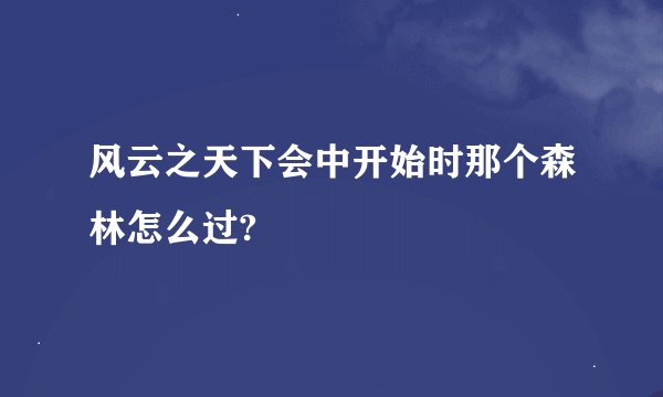 风云之天下会中开始时那个森林怎么过?