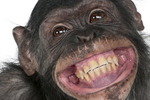 可笑是什么意思