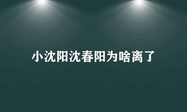 小沈阳沈春阳为啥离了