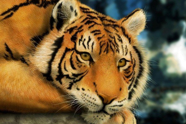 按照封建迷信的说法,鬼最怕的生肖属相是哪些?