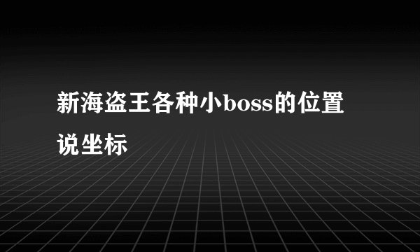 新海盗王各种小boss的位置 说坐标