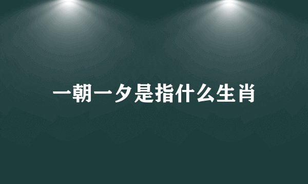 一朝一夕是指什么生肖