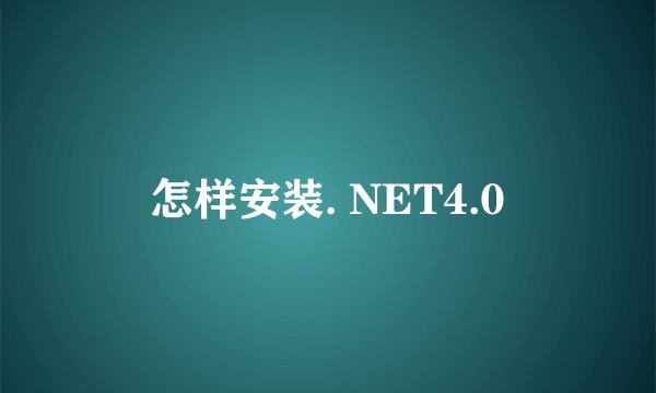 怎样安装. NET4.0