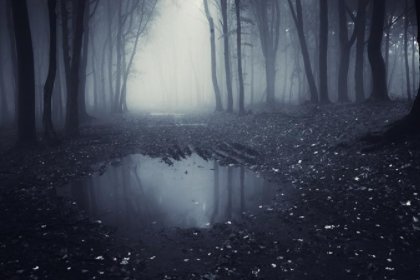 阴魂不散的意思