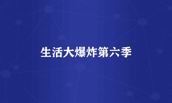 生活大爆炸第六季