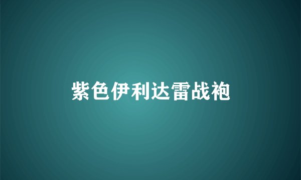 紫色伊利达雷战袍