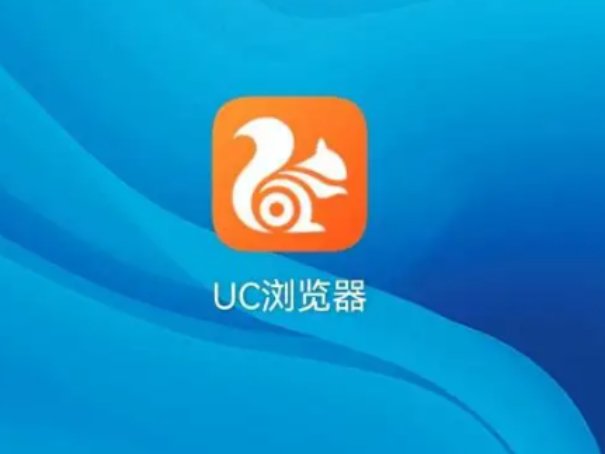 任何网站都可以访问的浏览器有哪些?