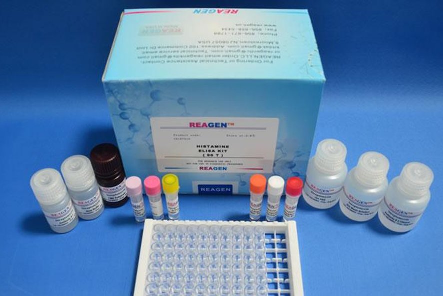 二恶英如何检测