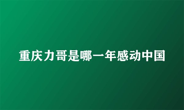 重庆力哥是哪一年感动中国