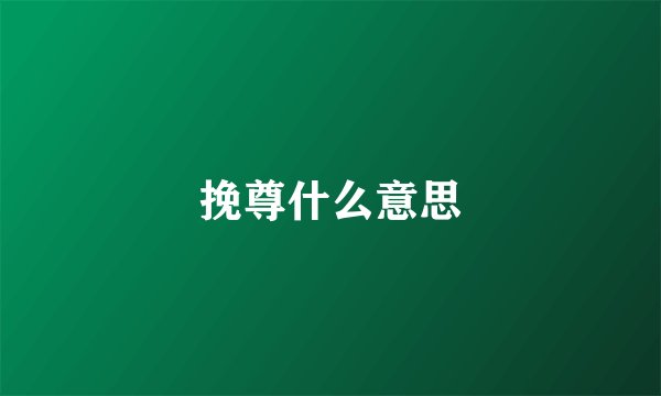 挽尊什么意思