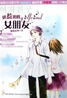 别惹我的女朋友的作者简介