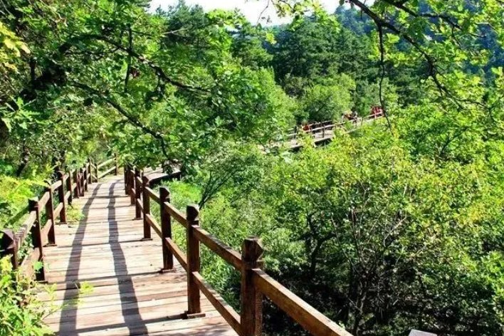 静波是什么意思