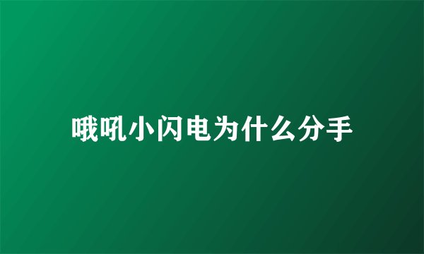 哦吼小闪电为什么分手