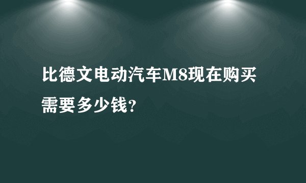 比德文电动汽车M8现在购买需要多少钱？