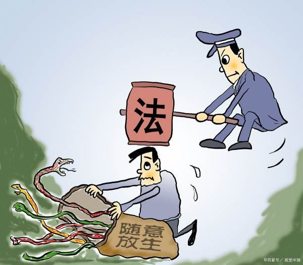 把小偷打骨折犯法吗