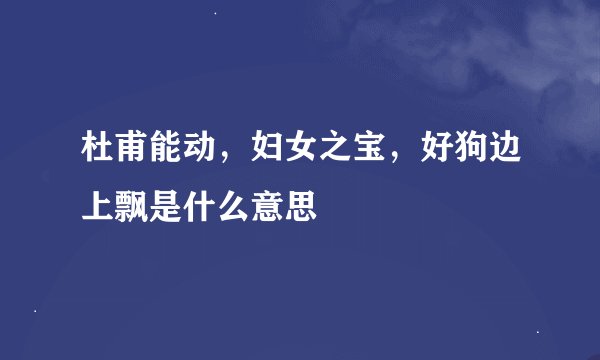 杜甫能动，妇女之宝，好狗边上飘是什么意思