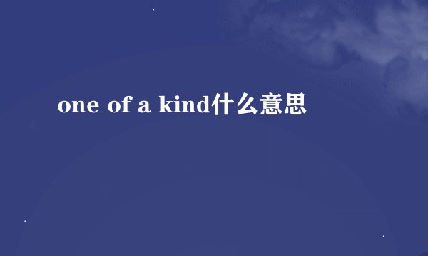 one of a kind什么意思