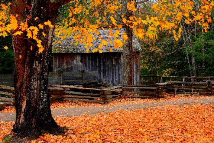 秋的声音仿写句子三年级