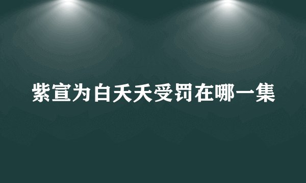 紫宣为白夭夭受罚在哪一集