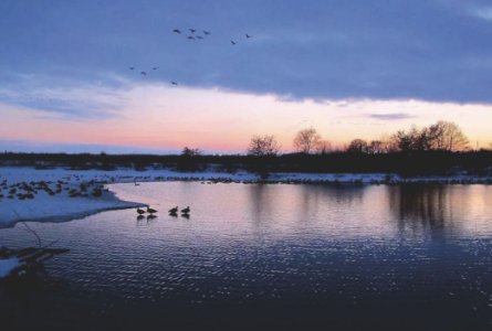 《瓦尔登湖》的内容简介是什么？