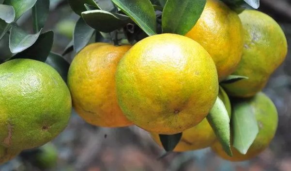 用并不是,而是造句