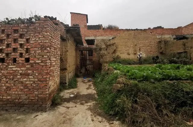 云南姐妹俩被妹妹被刺身亡，凶手竟是妹妹前夫，他会被怎么判？