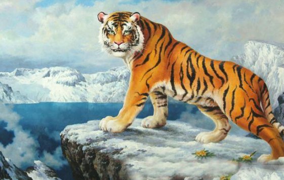 龙血玄黄猜生肖