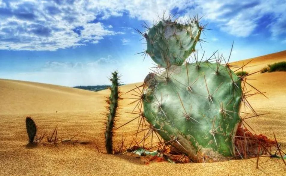 “成事在人，谋事在天”是什么意思？