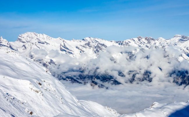 Happy NewYear的翻译是什么？