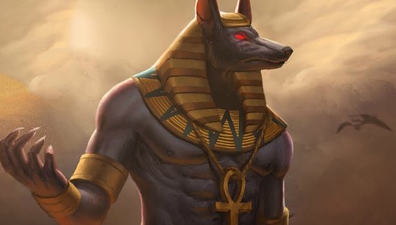 月光骑士多久更新一集