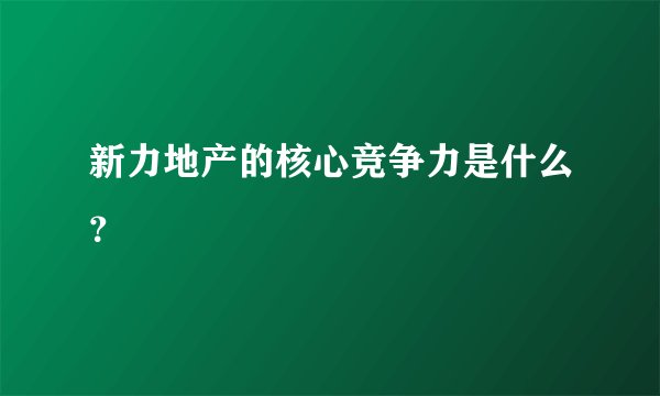 新力地产的核心竞争力是什么？