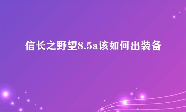信长之野望8.5a该如何出装备