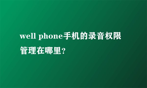 well phone手机的录音权限管理在哪里？