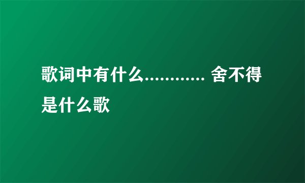 歌词中有什么............ 舍不得是什么歌