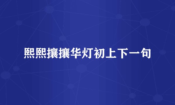 熙熙攘攘华灯初上下一句