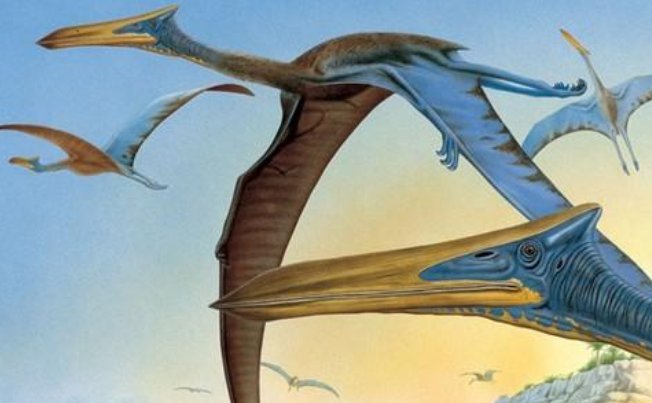 恐龙有哪些种类和名字